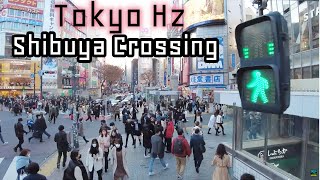 4K 超ハイアングルで見る渋谷スクランブル交差点 / Shibuya Scramble Crossing from Very High Angle View