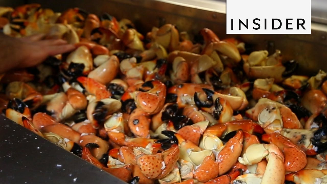 How To Eat Stone Crab Youtube
