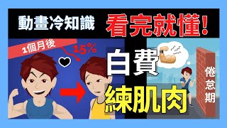 健身瘦身全白費?!停止運動肌肉會怎樣■小冷知識科普 動畫