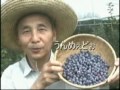 岩手町：iatふるさとcm大賞2003年 『おらほの宝』