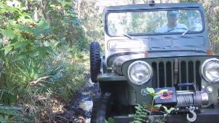 1951 Willys CJ3A