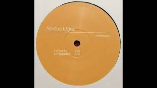 Sertac Ugra - Cheerful