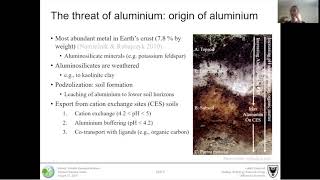 Lobke Rotteveel - Why are Aluminum Levels so High in Nova Scotia Lakes and Rivers?