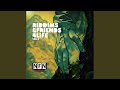 Rasta Neva Fail (feat. Shanti Lion)