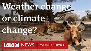 When does weather change become climate change? - BBC World Service