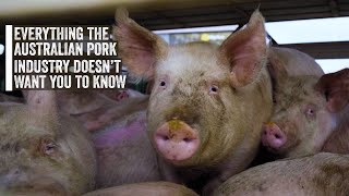 Everything the Australian Pork Industry doesn't want you to know