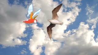 Birds flying dec the clouds in the sky  / Animation / follow me english #clouds #birds #animation