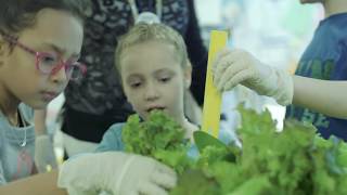 School Wellness PSA (15 sec)
