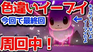 【ポケモン剣盾】本当の最終回！◇型夢色違いイーブイレイド完全自動周回中！+視聴者交換会（夢イーブイ）【色違いレイド配布】