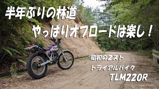 半年ぶりに林道を走ってみた【昭和の2スト・オフロードバイクで山散歩＃45】