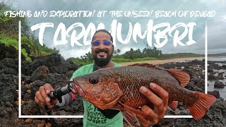 तारामुंबरी मध्ये रॉड फिशिंग चा अनुभव Explore and fishing at unseen beach Taramumbri  Kokan Vlog#13