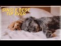 Single Best Tip Ever to Sleep Well + Giveaway - 1,000 Will Win