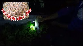 Tâm67vlog _ Mưa bão quá cả nhà ơi nay mình đi câu khu vực gần nhà mưa quá nên sớm nhưng cũng đủ ăn