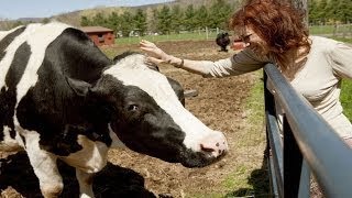 Vegucated Documentary 2011