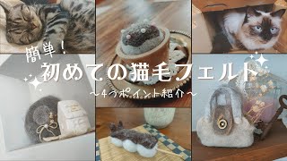 | Four Points for Making Treasures from Your Cat's Hair