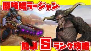 【MHRise】Arena Rajang hbg S rank