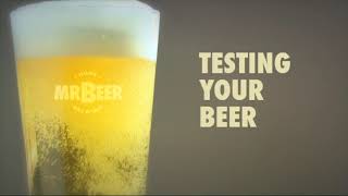 Mr Beer Kit Instructional Video