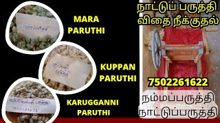 Nattuparuthi Hand Ginning Remove Seed | நாட்டுப்பருத்தி இரகம் விதை நீக்குதல்.