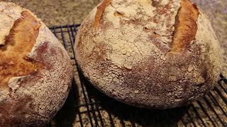 Basic French Boule  (French bread)