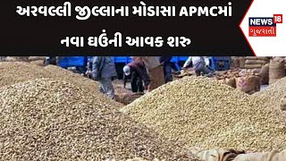 Arvalli APMC | અરવલ્લી જીલ્લાના મોડાસા APMCમાં નવા ઘઉંની આવક શરુ | Wheat | Gujarat | Gujarati News