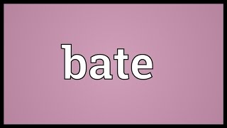 Bate Meaning