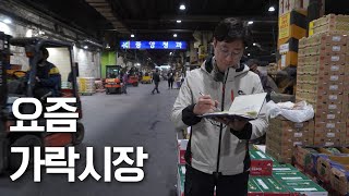 5월엔 뭘 먹고 뭘 팔지? 새벽 가락시장 제철 과일 쇼핑