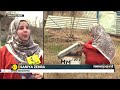 jammu kashmir s first female beekeeper challenges gender norms and inspires others wion newspoint