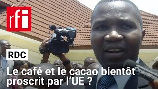 RDC : pourquoi le café et le cacao produits en RDC pourraient être exclus du marché européen ?