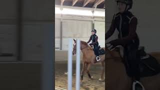 Jumping an oxer!