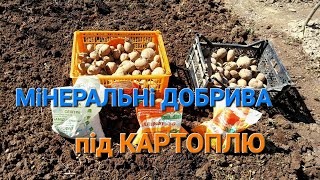 Мінеральні добрива при посадці Картоплі@МояДачаСадГород