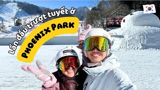 South Korea Travel Vlog - First Skiing Experience at Phoenix Snow Park | Pyeongchang, Gangwon-do