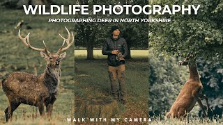 Your DREAMS Can Come True | FUJIFILM XF 150-600 | Wildlife Photography