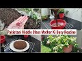 1 Egg Delicious Chocolate cake🎂| Child School Visit |Planting seeds|House Cleaning🧹🧼|Life With Zonia