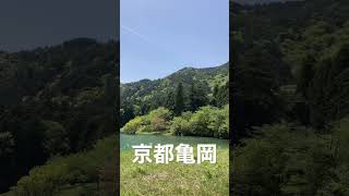 【京都亀岡】緑の絶景　#shorts