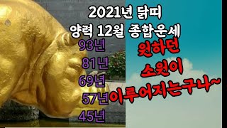 2021년 신축년 닭띠 양력 12월운세 원하던 소원이 이루어 지는구나~(상담 T.010 5169 3747 강강무강)