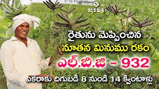 ఎల్.బి.జి - 932 మినుము రకంతో బంగారు పంట| High Yield New Black gram Variety LBG - 932 |Karshaka Mitra