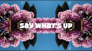 bonobros \u0026 Jay C.K. - say what's up (prod. by prof.dr.petrus) (Official Music Video)