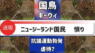 [ニュージーランド国民憤り] マイアミ動物園でのキーウィの扱い方