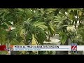 Orlando planning board discusses medical marijuana dispenseries