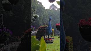 Flower Show 2025 | Lalbagh Botanical Garden | One day Trip in bangalore #lalbagh #onedaytrip #travel