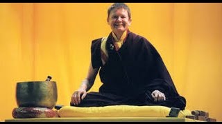 The Noble Journey From Fear to Fearlessness ♡ Pema Chödrön