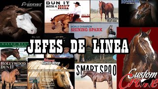 Líneas de Trabajo Cuarto de Milla (Gunner, Hollywood, Olena)🐴-Del Cerro Soy