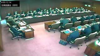 H30.12.14 全員協議会（例月）