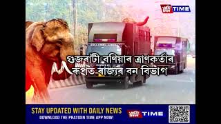 গুজৰাটৰ জামনগৰলৈ লৈ যোৱা হ’ল অসম আৰু অৰুণাচলৰ ২৮টা হাতী