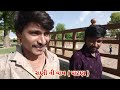 રાણી ની વાવ પાટણ rani ni vav in patan vlogs gj 24 patan vlogs