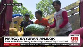 Penyebab Harga Sayuran di Jawa Barat Anjlok