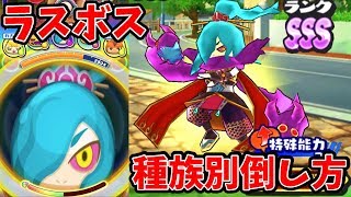 ぷにぷに種族別！特攻妖怪なしで極オロチに勝てる最強パーティー！妖怪ウォッチぷにぷに三国志イベント第３弾Yo-kai Watch