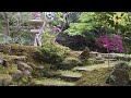 Traditional Japanese Garden Walk | The Last Daimyo of Chofu