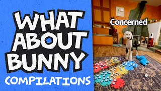Cold Rain Outside | What About Bunny