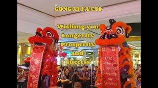 AMAZING LION DANCE 2024!! ~ REVESBY WORKERS CLUB ~ SYDNEY AUSTRALIA